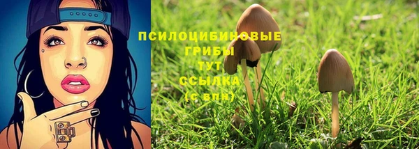 прущие крисы Снежинск