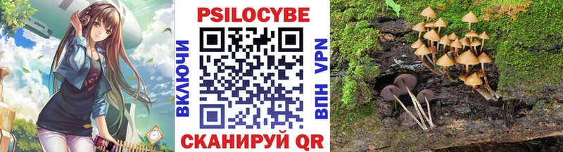 Псилоцибиновые грибы прущие грибы  дарк нет наркотические препараты  Алексеевка 