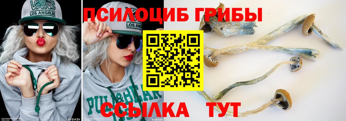 Галлюциногенные грибы ЛСД Алексеевка