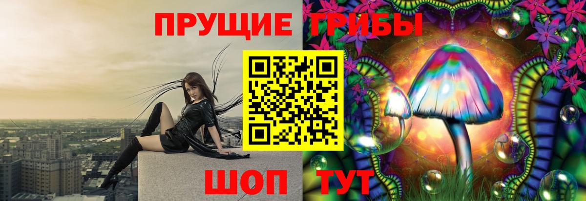 Галлюциногенные грибы GOLDEN TEACHER  Псилоцибиновые грибы Magic Shrooms  Вход с VPN  Алексеевка 